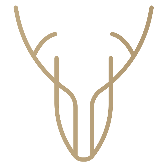 Skopos-Creative-favicon
